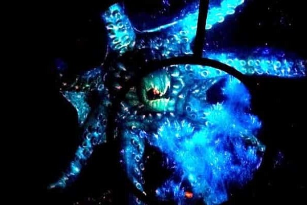Как вывести деньги с kraken